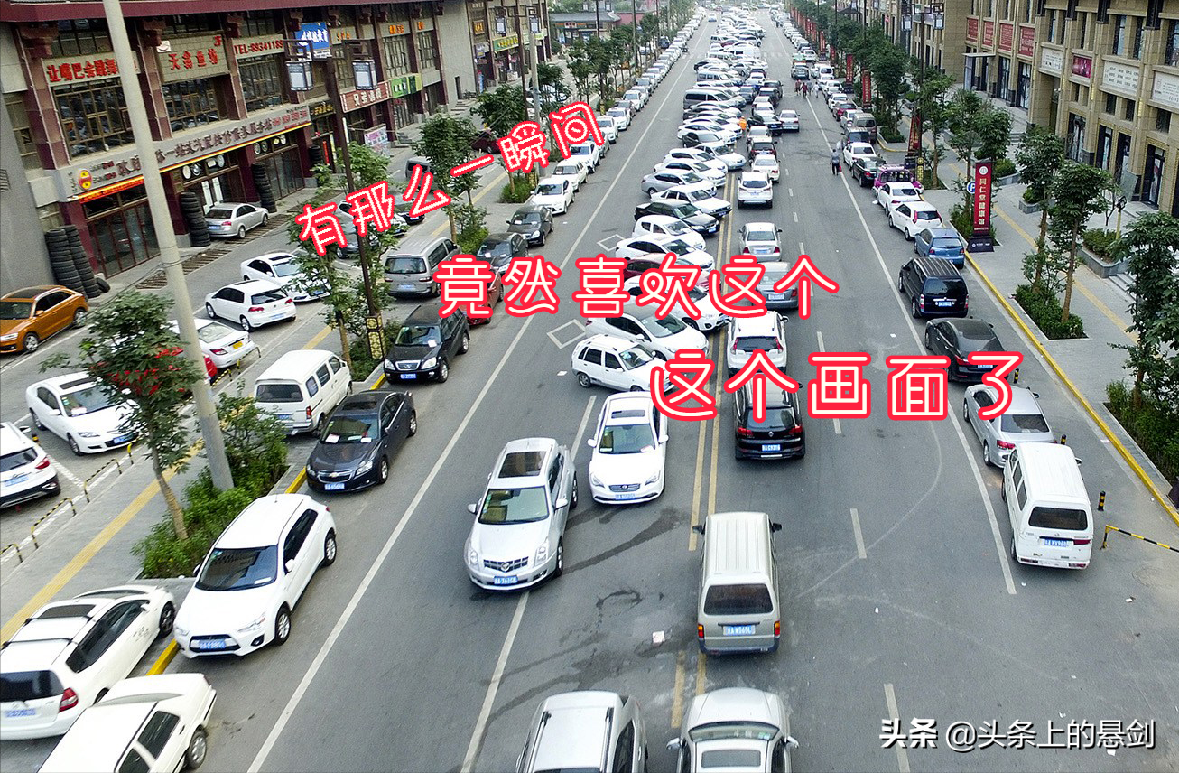 上海在哪里举报交通违法有奖励
